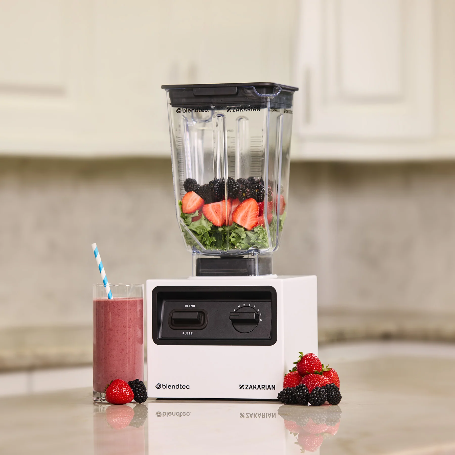 Zakarian Pro Blender - Image 3